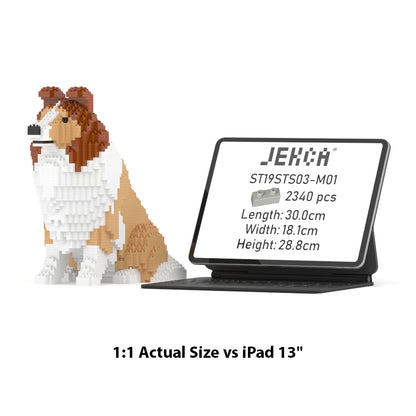 Shetland Sheepdog 03S-M01