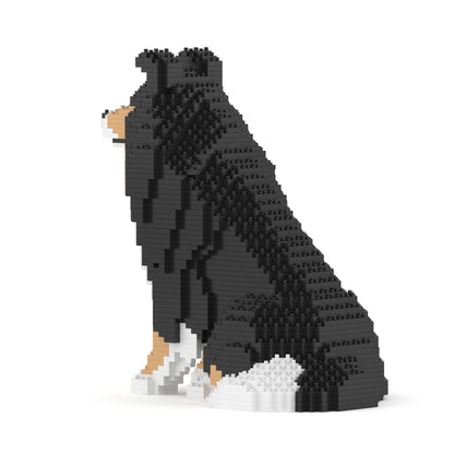 Shetland Sheepdog 03S-M02