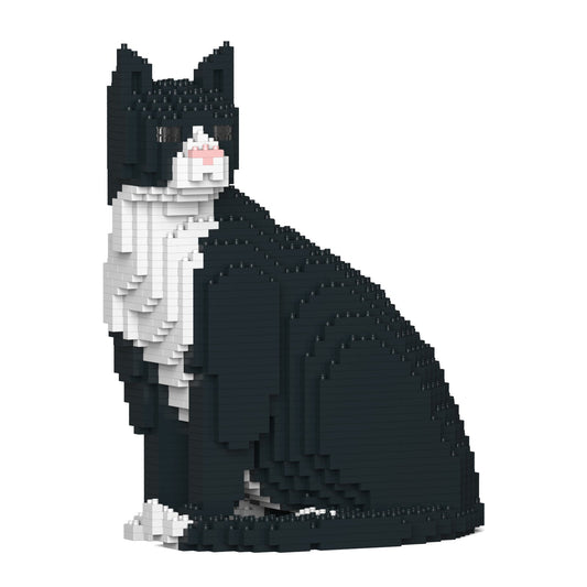 Chat Tuxedo noir assis