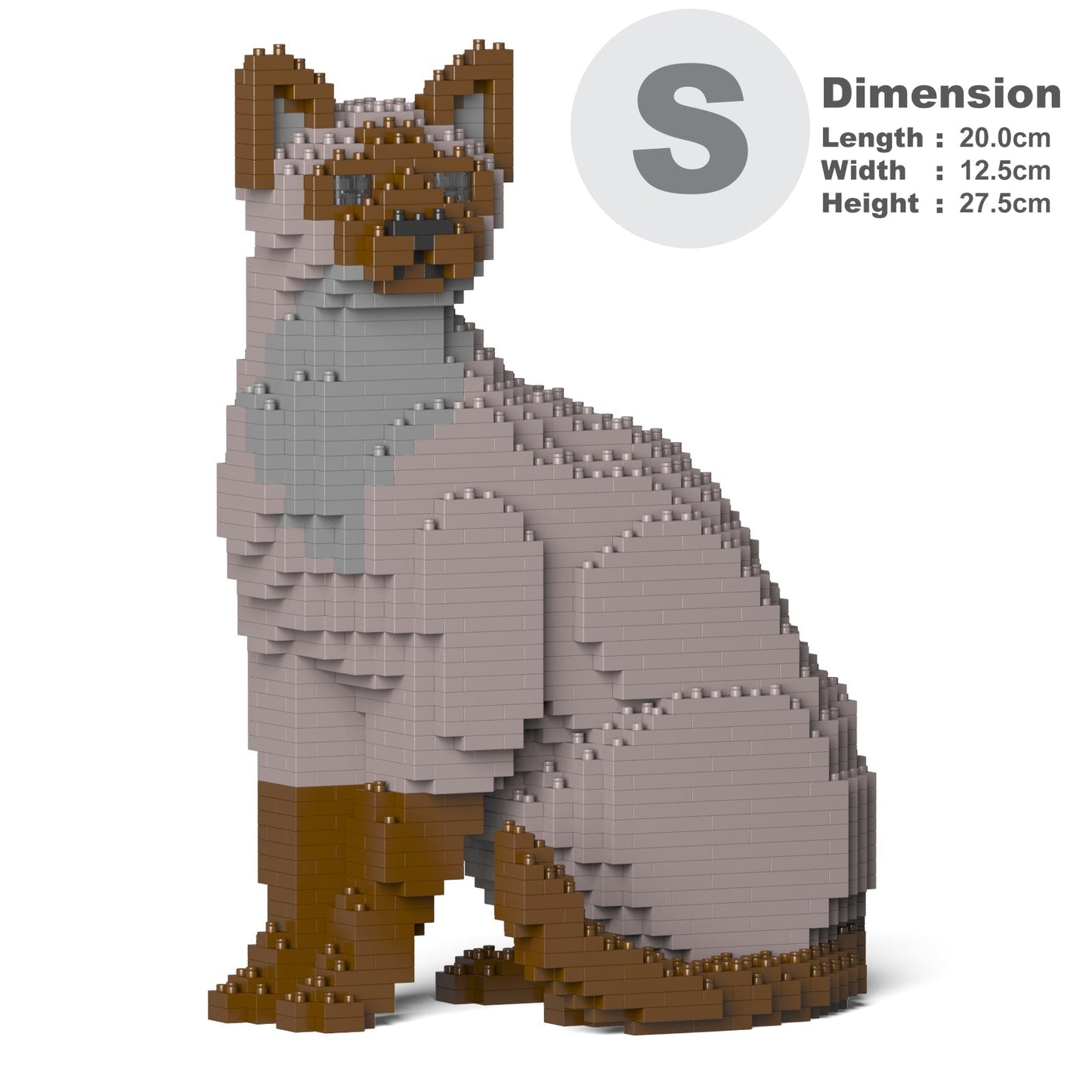 Chat Tonkinois gris assis