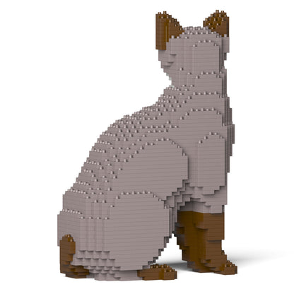 Chat Tonkinois gris assis