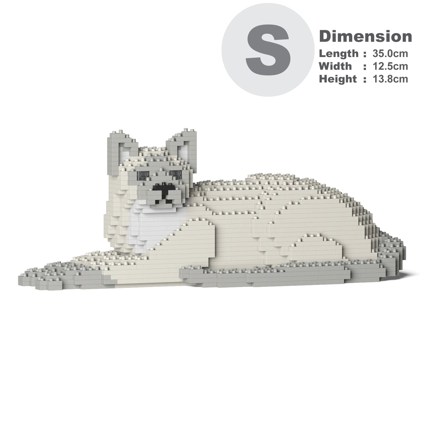 Chat Tonkinois couché