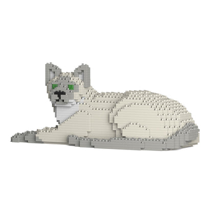 Chat Tonkinois couché
