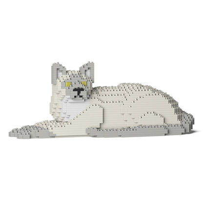 Chat Tonkinois couché