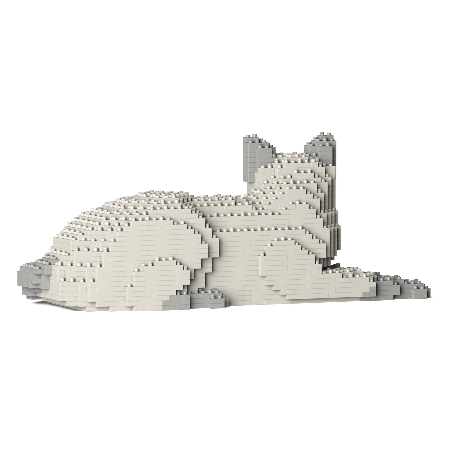 Chat Tonkinois couché