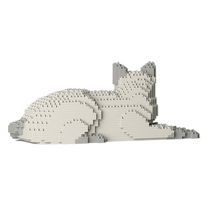 Chat Tonkinois couché
