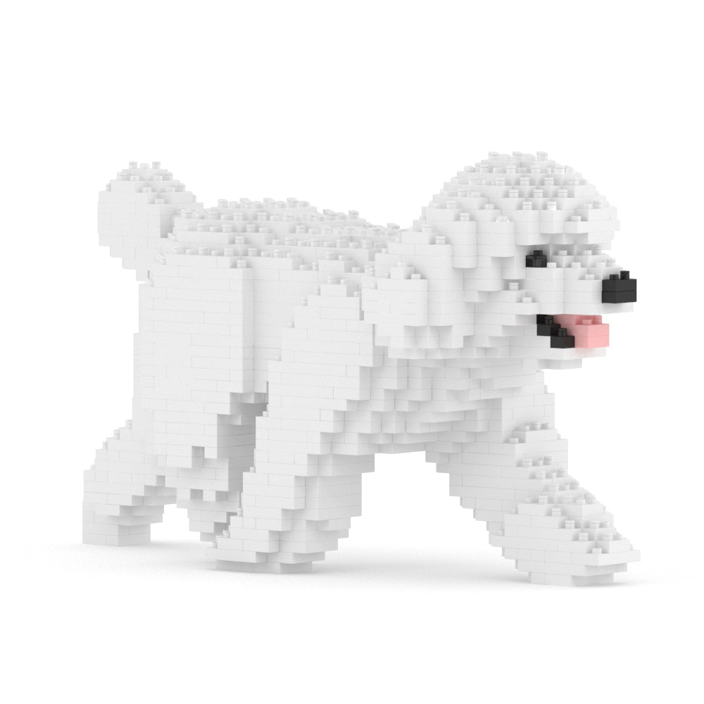 Chien Caniche Nain qui marche blanc