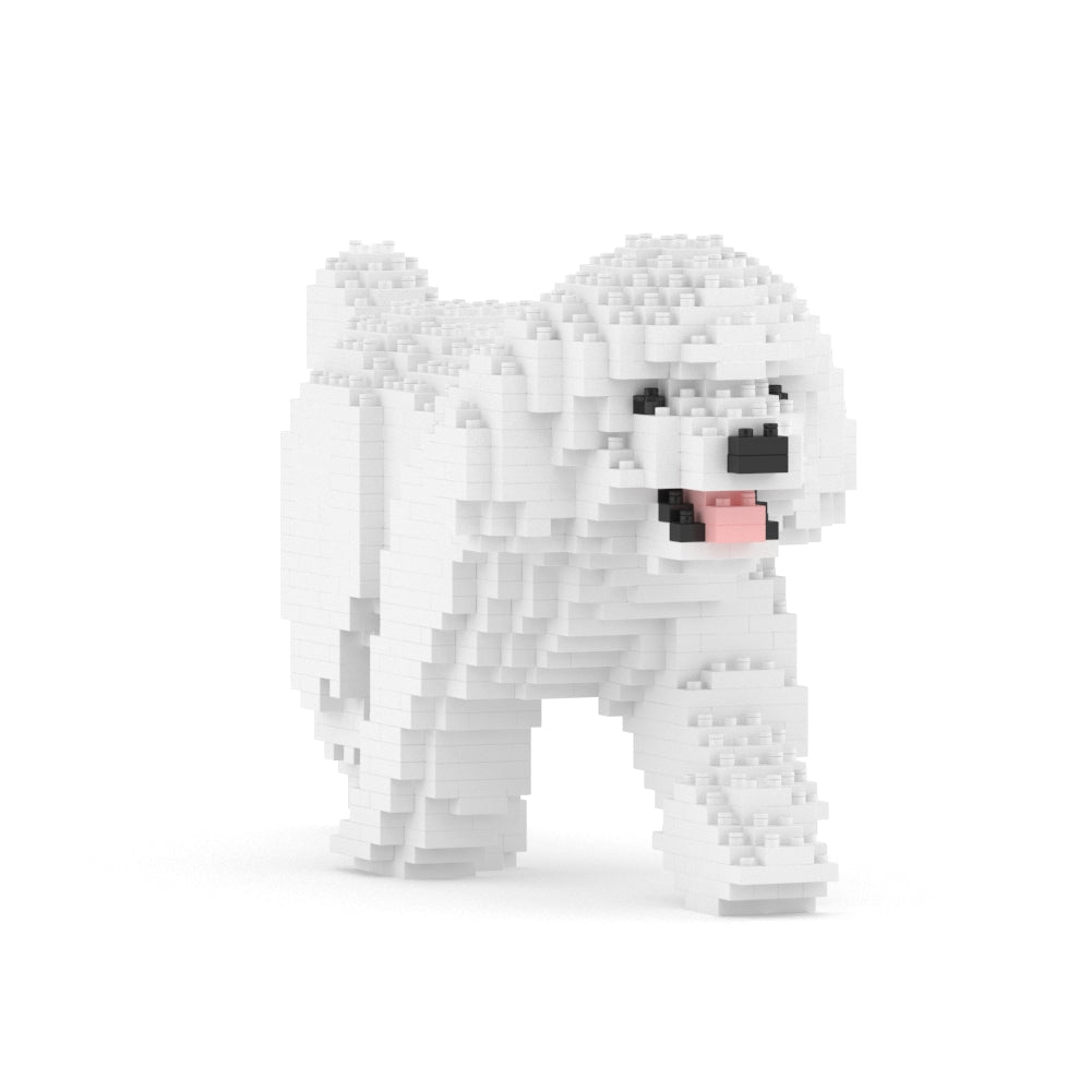 Chien Caniche Nain qui marche blanc