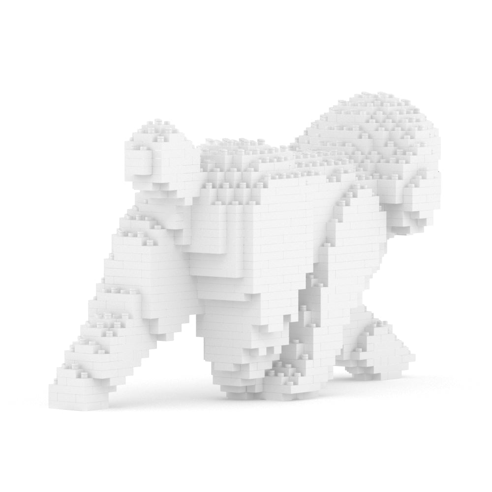 Chien Caniche Nain qui marche blanc