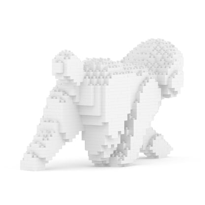 Chien Caniche Nain qui marche blanc