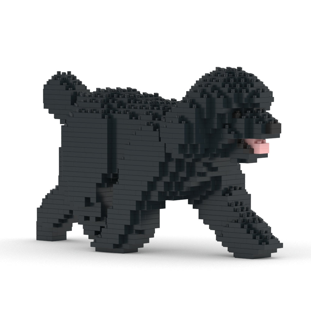 Chien Caniche Nain qui marche noir