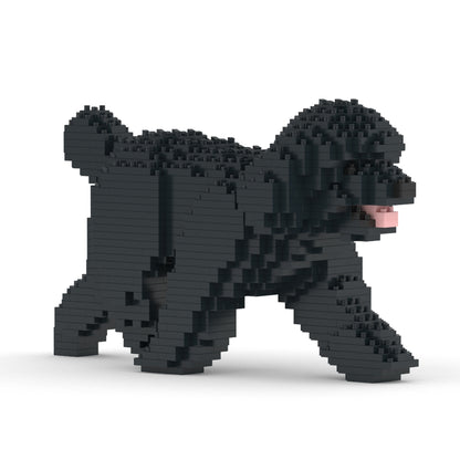 Chien Caniche Nain qui marche noir