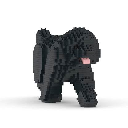 Chien Caniche Nain qui marche noir