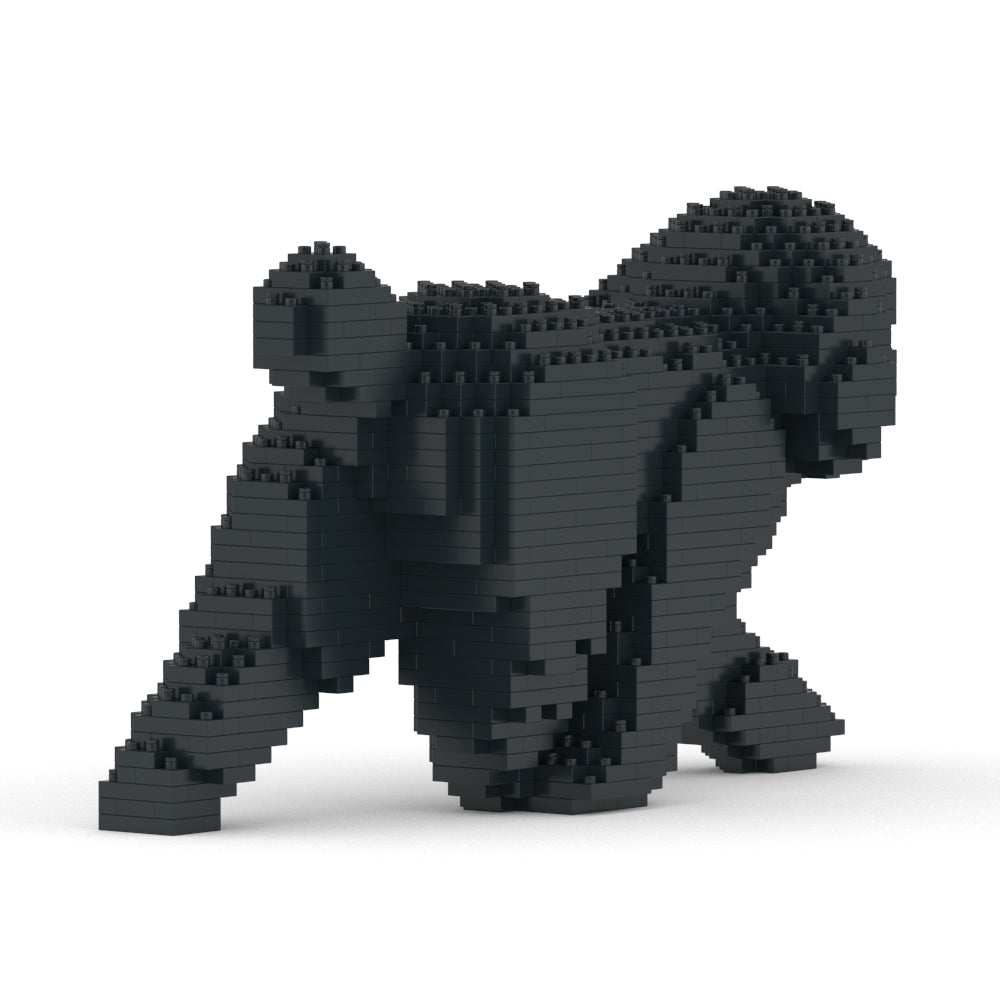 Chien Caniche Nain qui marche noir