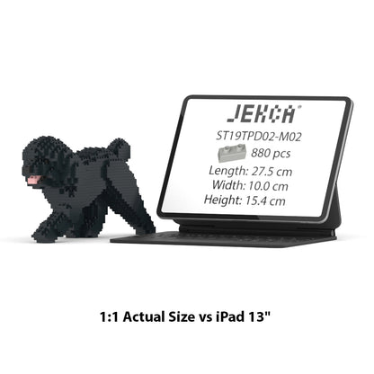 Chien Caniche Nain qui marche noir
