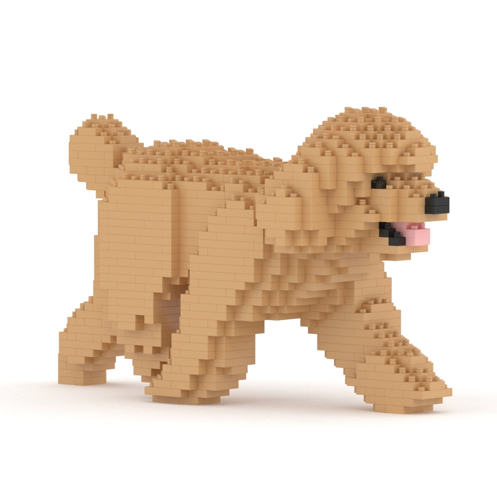 Chien Caniche Nain qui marche beige