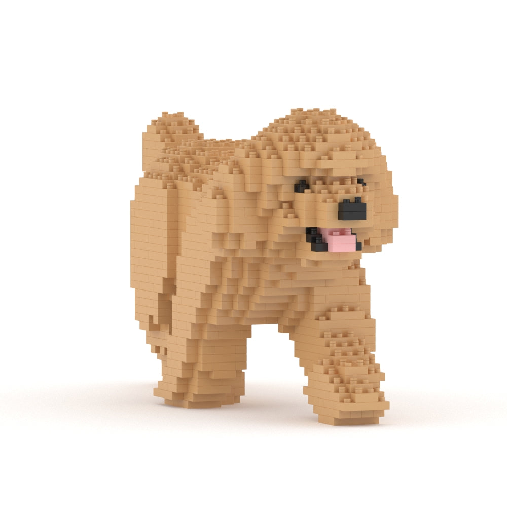 Chien Caniche Nain qui marche beige