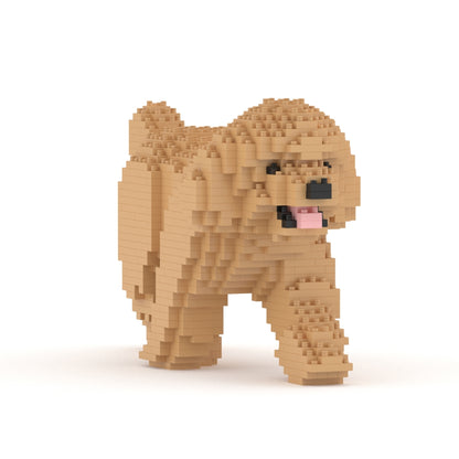 Chien Caniche Nain qui marche beige