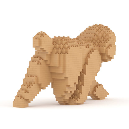 Chien Caniche Nain qui marche beige