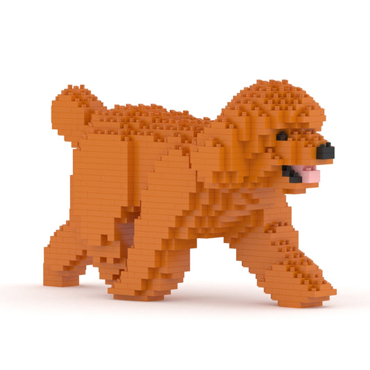 Chien Caniche Nain qui marche roux