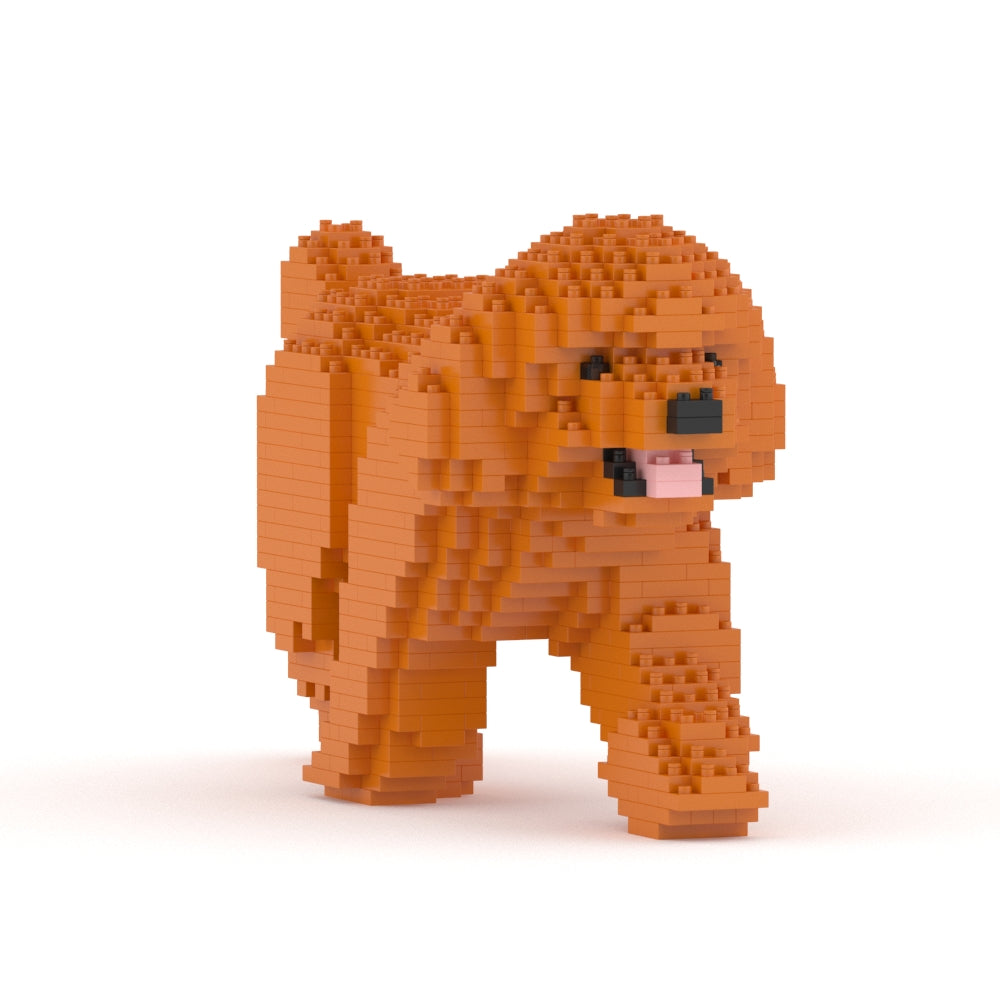 Chien Caniche Nain qui marche roux