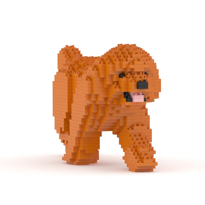 Chien Caniche Nain qui marche roux