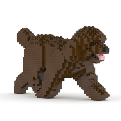 Chien Caniche Nain qui marche marron