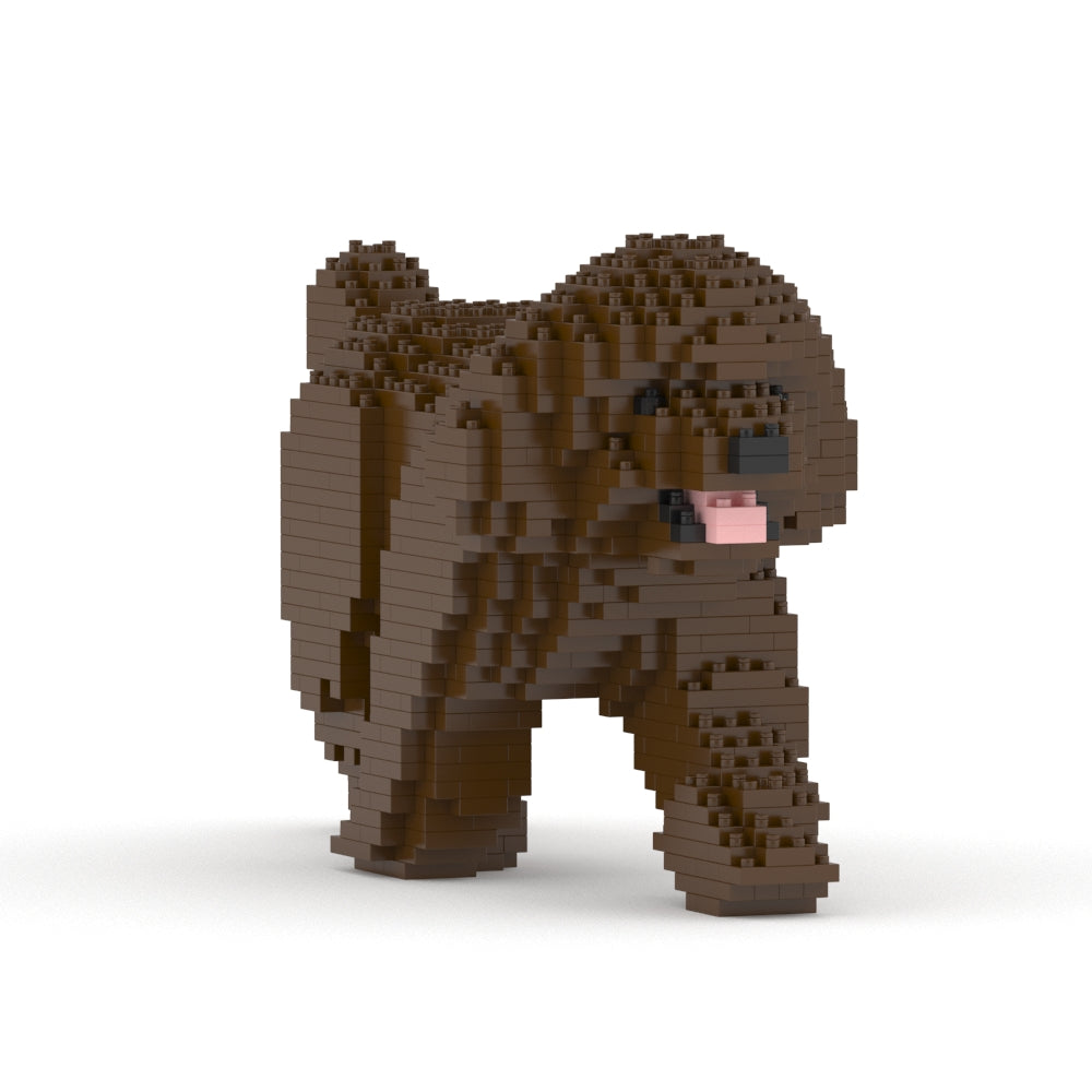 Chien Caniche Nain qui marche marron