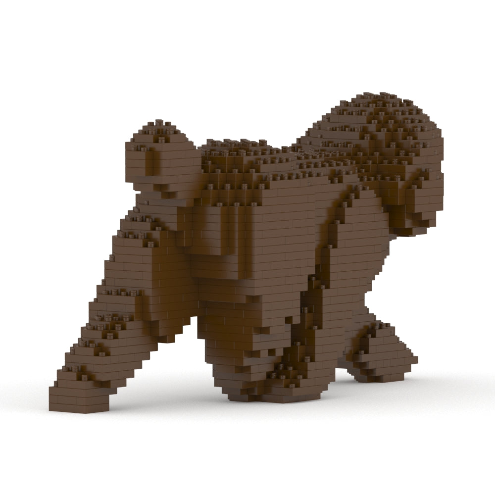 Chien Caniche Nain qui marche marron