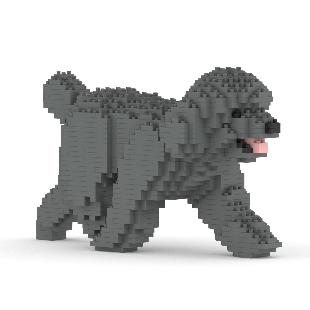 Chien Caniche Nain qui marche gris