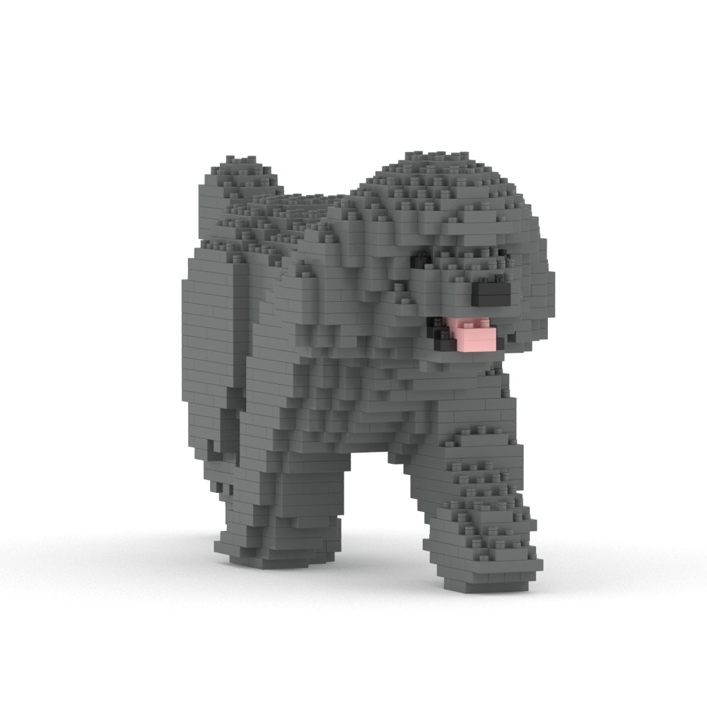 Chien Caniche Nain qui marche gris