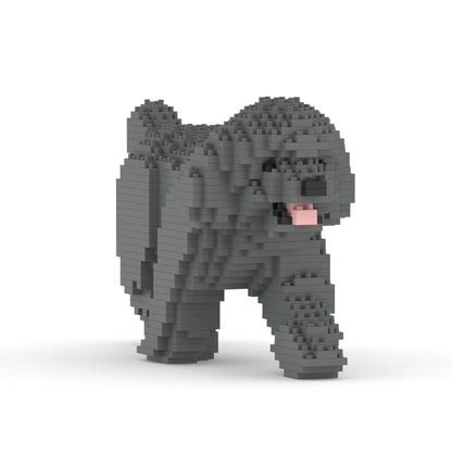 Chien Caniche Nain qui marche gris