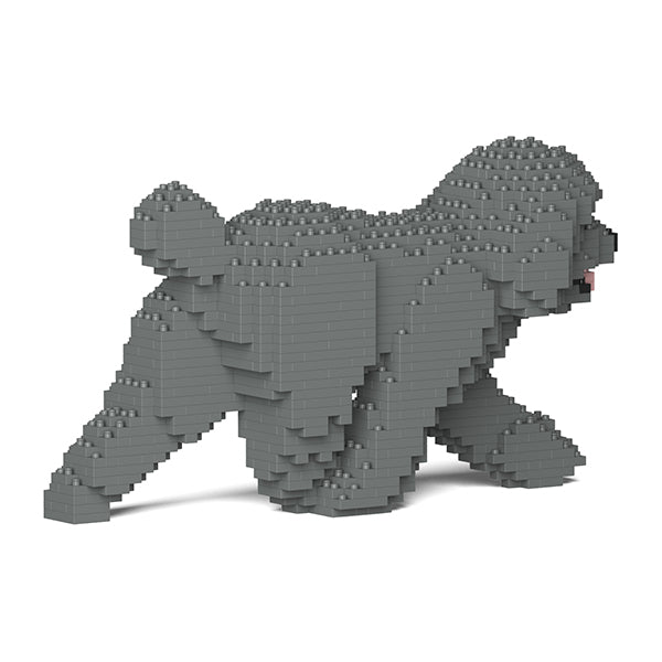 Chien Caniche Nain qui marche gris