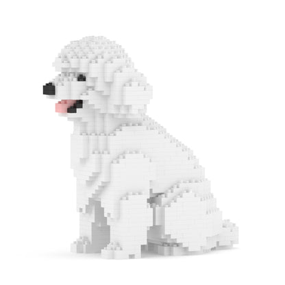Chien Caniche Nain assis blanc