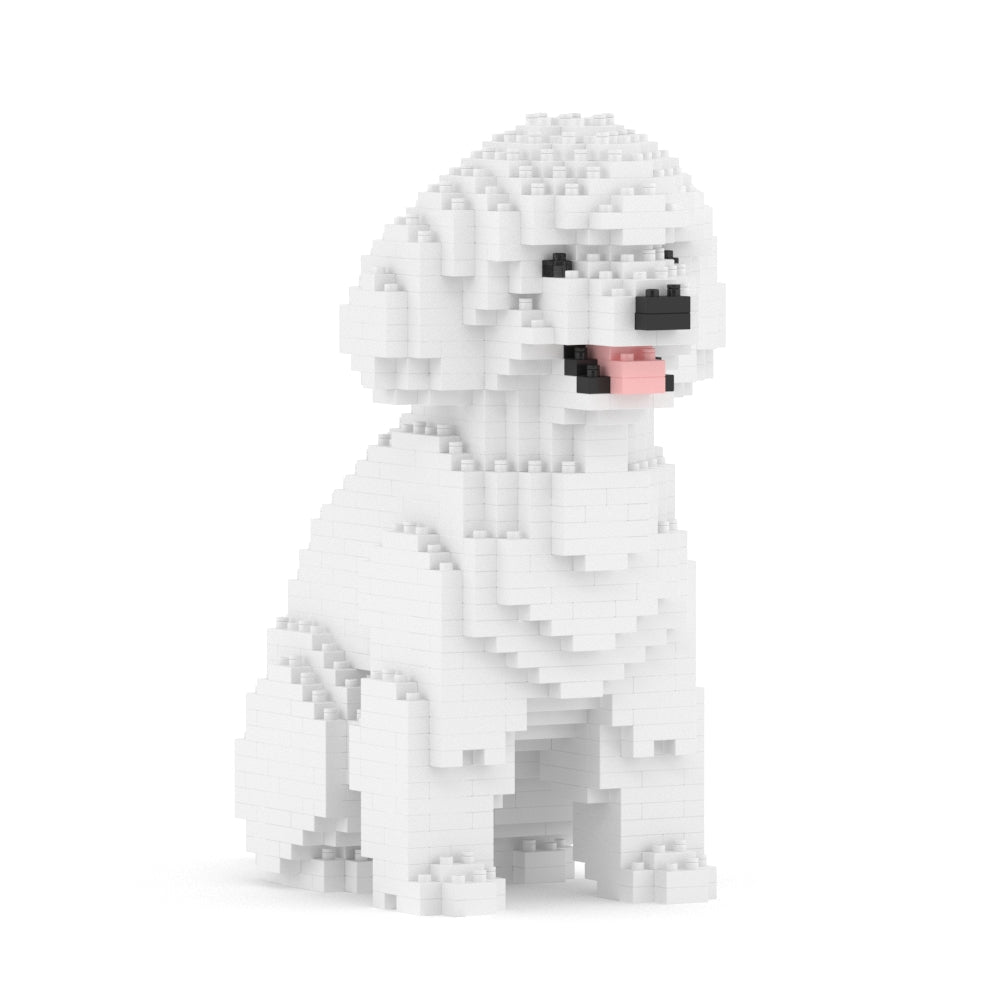 Chien Caniche Nain assis blanc