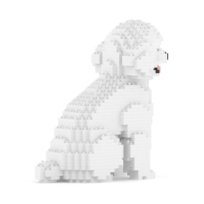 Chien Caniche Nain assis blanc