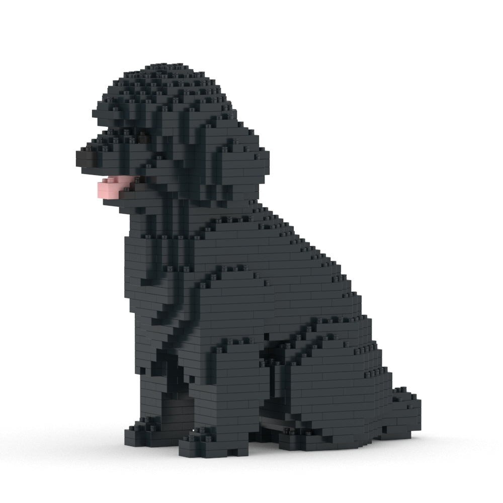 Chien Caniche Nain assis noir