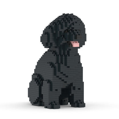 Chien Caniche Nain assis noir