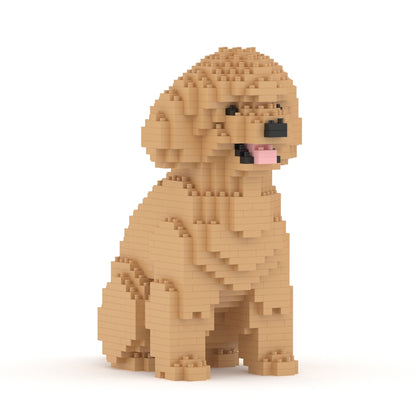 Chien Caniche Nain assis beige
