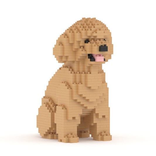 Chien Caniche Nain assis beige