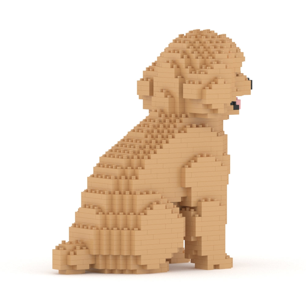 Chien Caniche Nain assis beige
