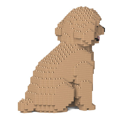 Chien Caniche Nain assis beige