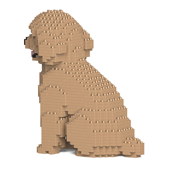 Chien Caniche Nain assis beige