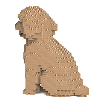 Chien Caniche Nain assis beige