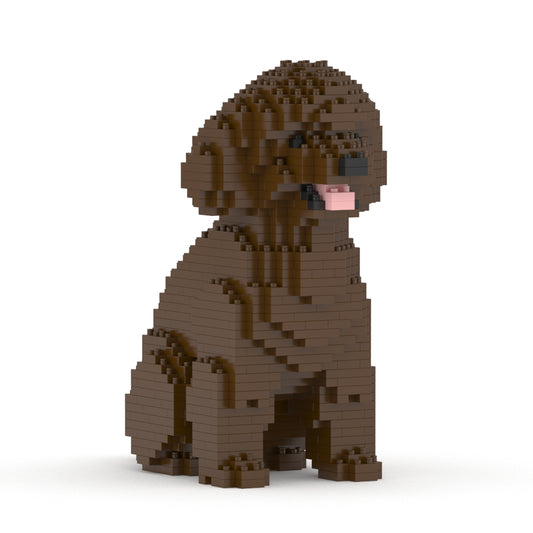 Chien Caniche Nain assis marron