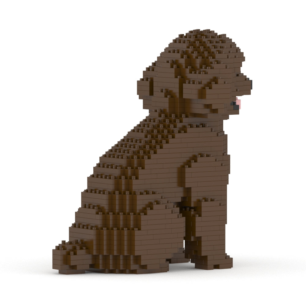 Chien Caniche Nain assis marron