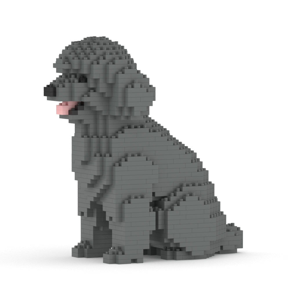Chien Caniche Nain assis gris