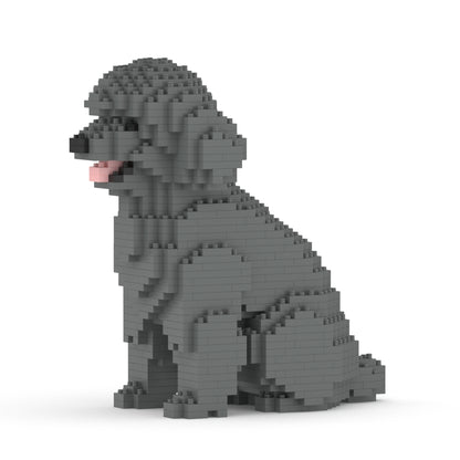 Chien Caniche Nain assis gris