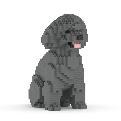 Chien Caniche Nain assis gris