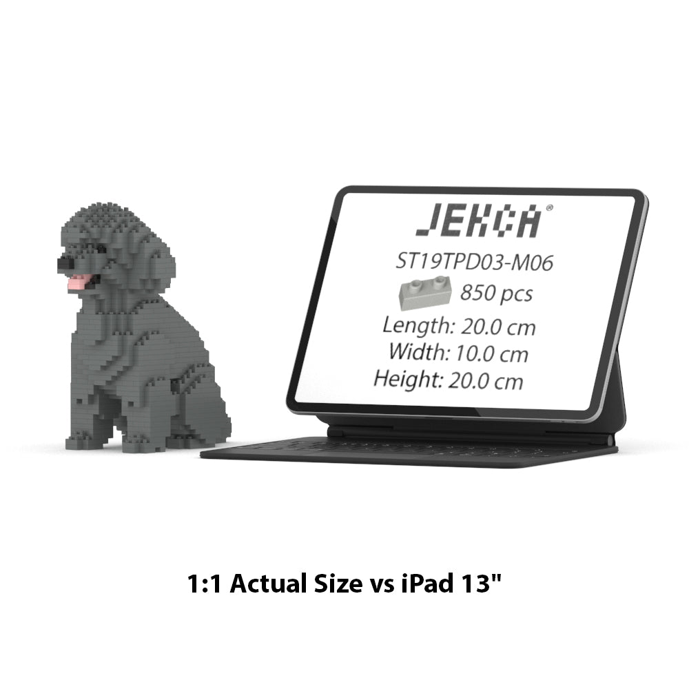 Chien Caniche Nain assis gris